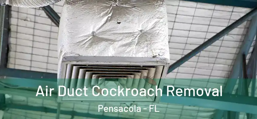  Air Duct Cockroach Removal Pensacola - FL