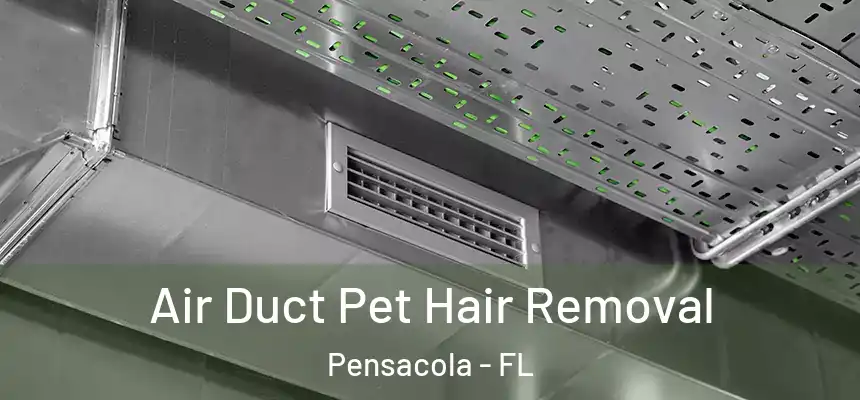  Air Duct Pet Hair Removal Pensacola - FL