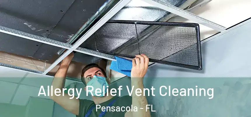  Allergy Relief Vent Cleaning Pensacola - FL