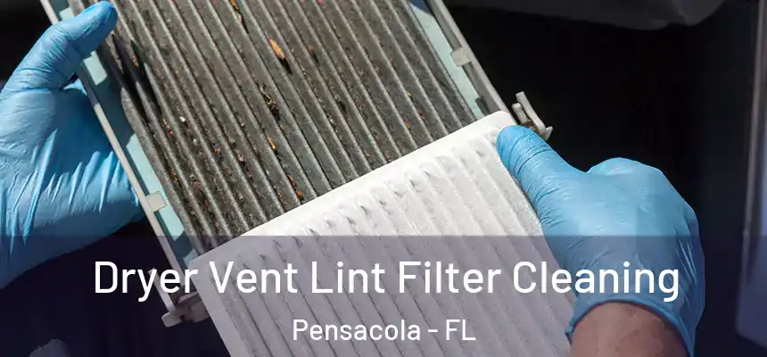  Dryer Vent Lint Filter Cleaning Pensacola - FL