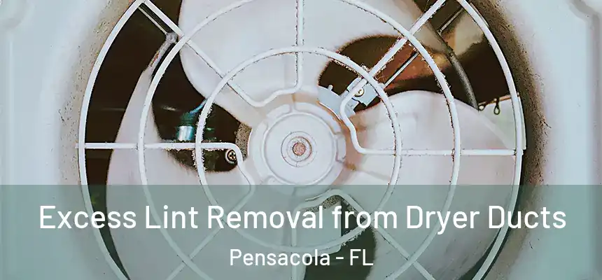  Excess Lint Removal from Dryer Ducts Pensacola - FL