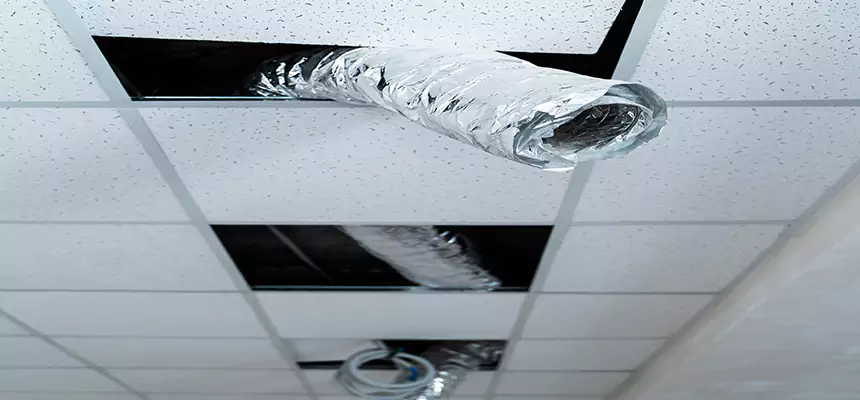 Affordable HVAC Sanitizing After Pest Removal in Pensacola