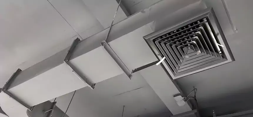 Restorative Allergy Relief Vent Cleaning – Coil, Blower & Housing Detail in Pensacola