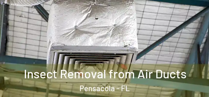  Insect Removal from Air Ducts Pensacola - FL