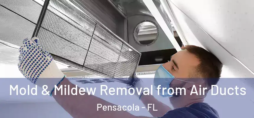  Mold & Mildew Removal from Air Ducts Pensacola - FL