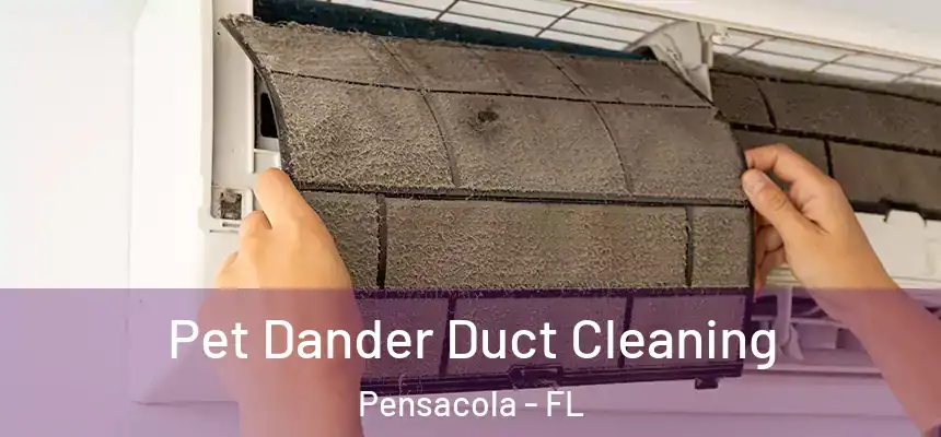 Pet Dander Duct Cleaning Pensacola - FL