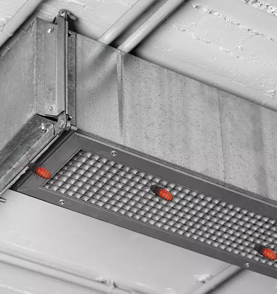 About Air Duct Cockroach Removal in Pensacola, FL