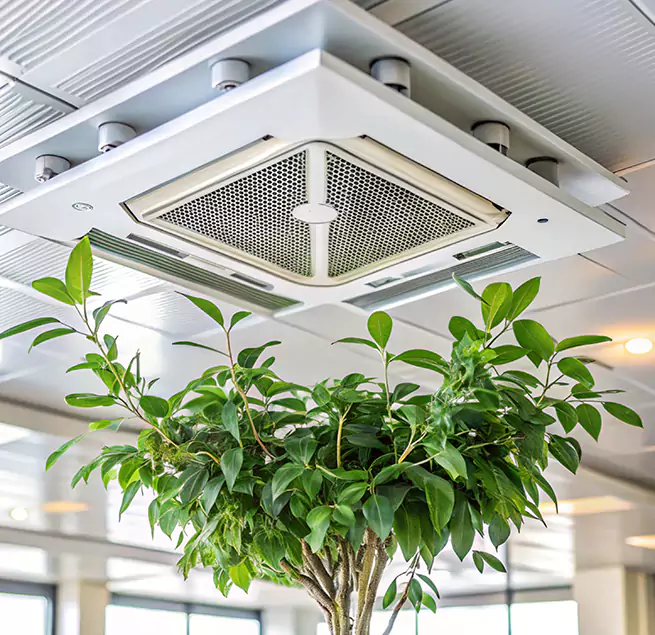 Why Homeowners & Businesses Trust Us in Pensacola, FL?