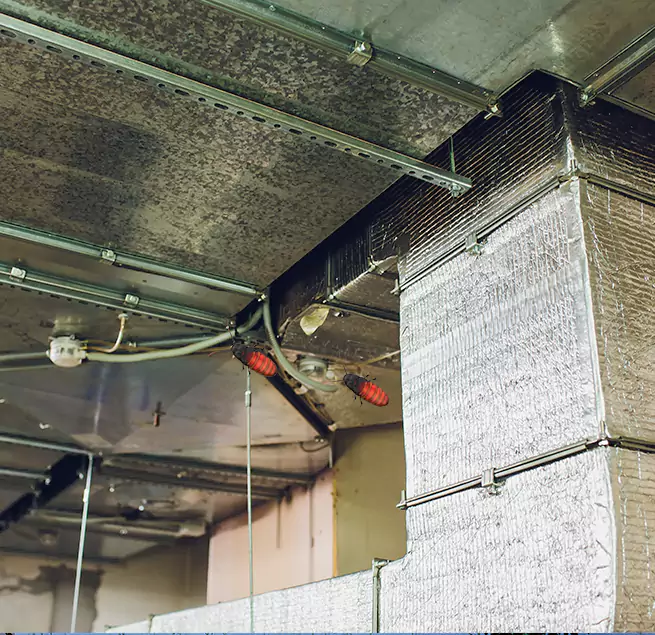 Why Homeowners & Businesses Trust Us Pensacola, FL?